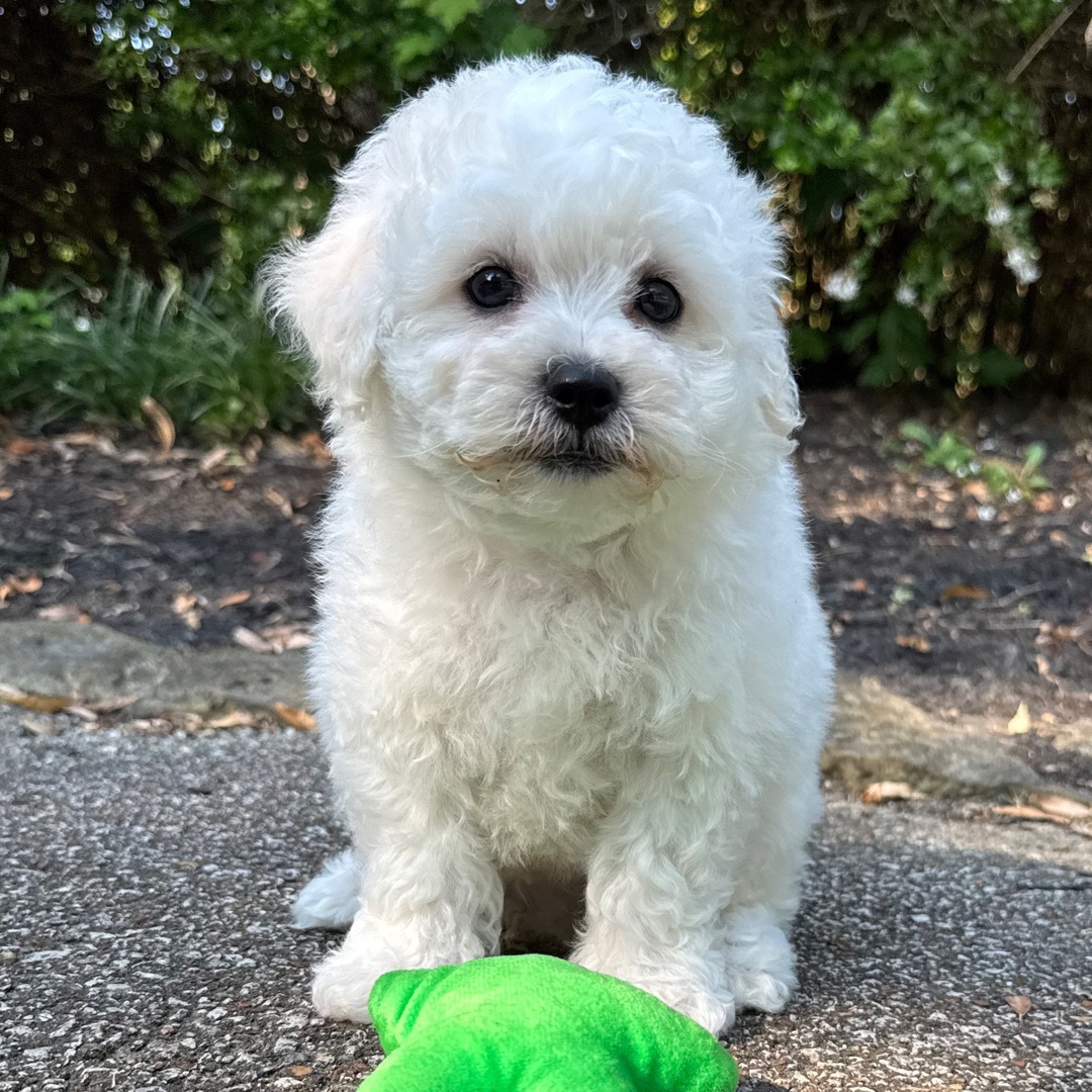 Milo